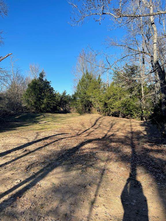 0 County Road 1105 - Photo 1