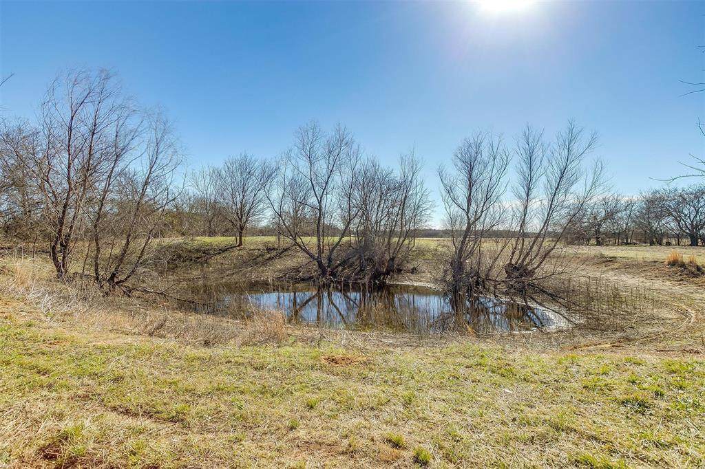 TBD 1 County Road 1107C - Photo 1