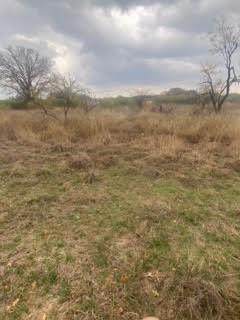 TBD Bear Path Way - Photo 1
