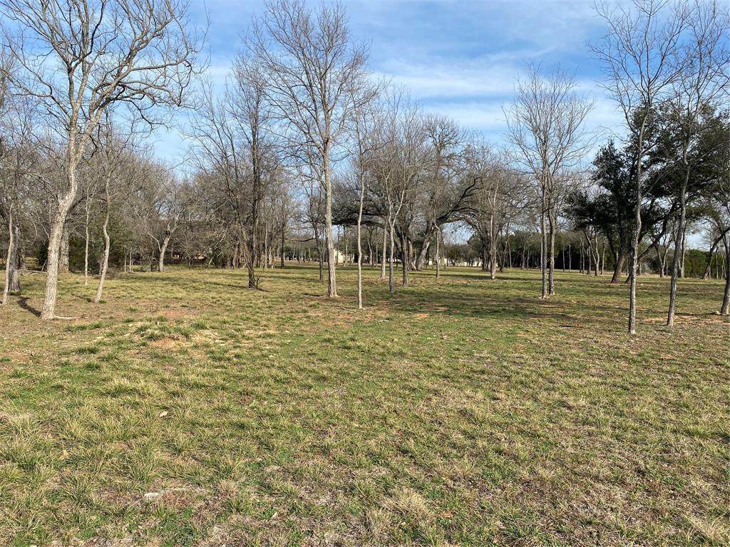 1628 White Bluff Drive - Photo 1