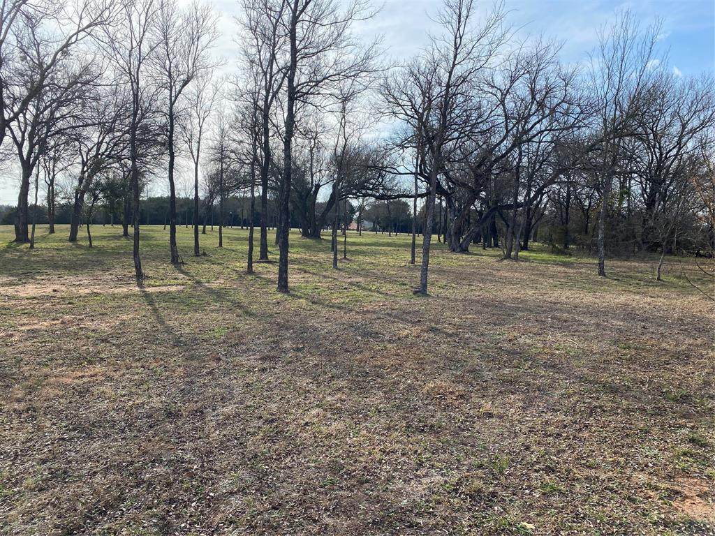 1629 White Bluff Drive - Photo 1
