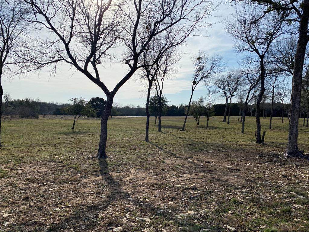 1630 White Bluff Drive - Photo 1