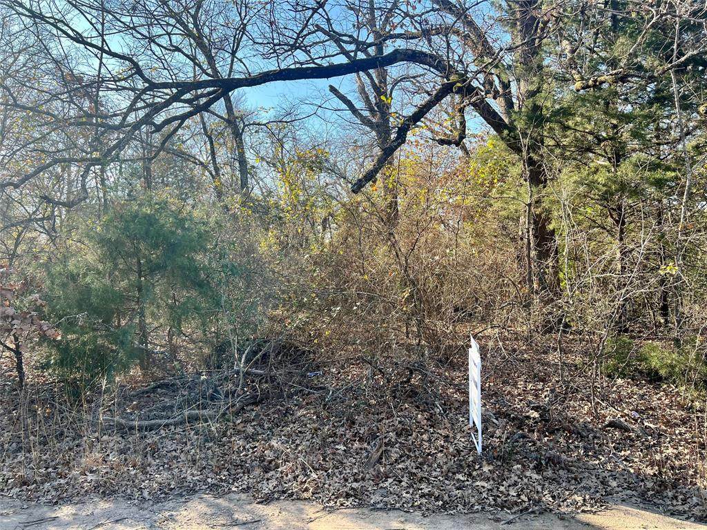 121 Coahoma Street - Photo 1