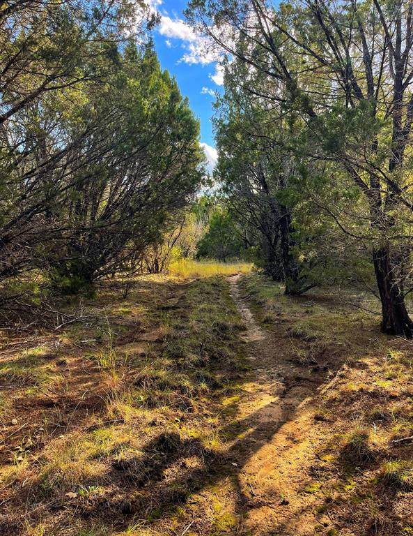 FM 1238 Fm 1238 - Photo 1