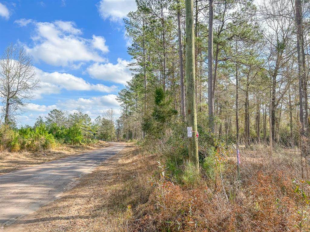 2400 County Road 1520 - Photo 1