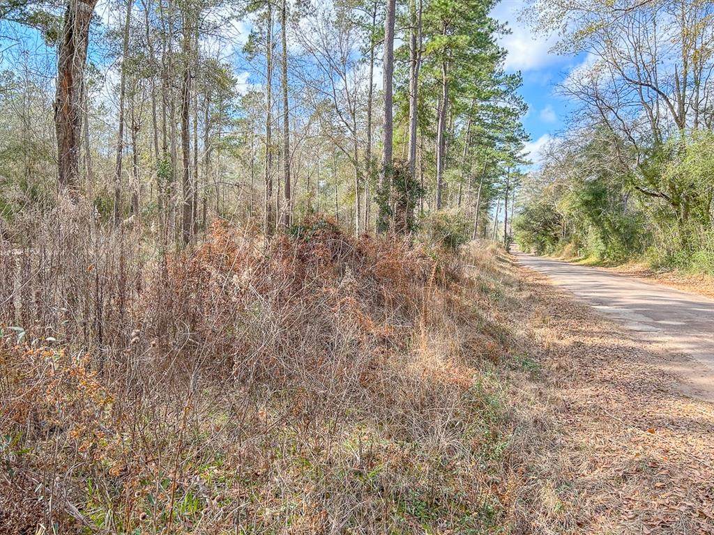 2350 County Road 1520 - Photo 1