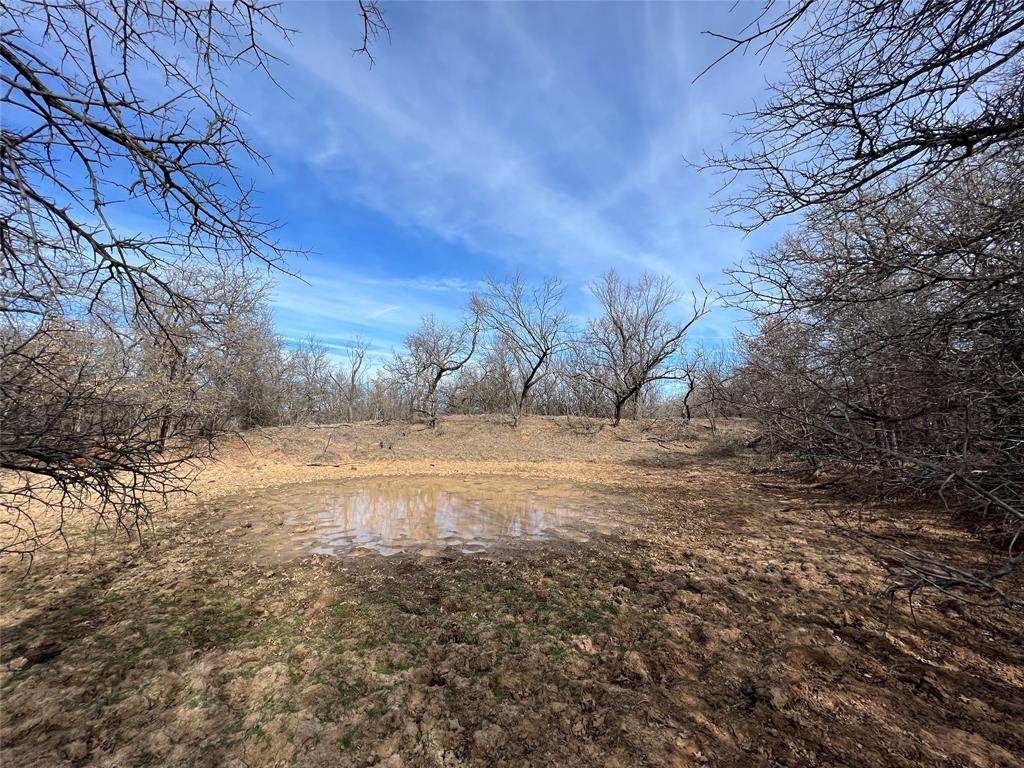 1262 Indian Mound Road - Photo 1