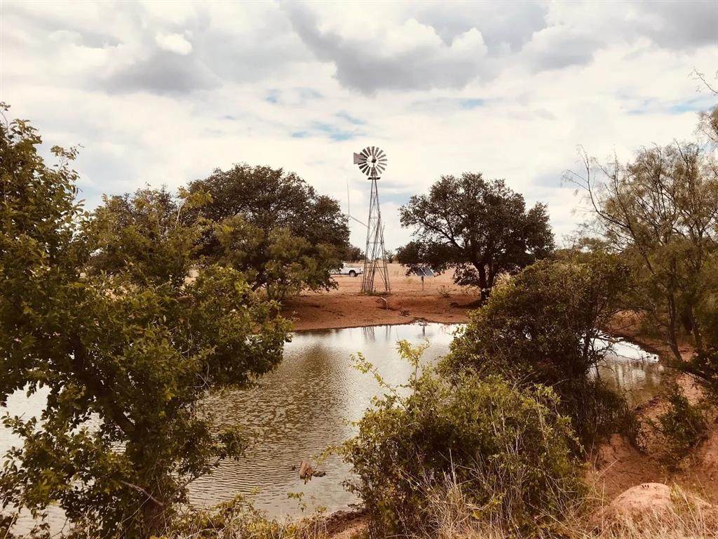 TBD County Road 407 - Photo 1