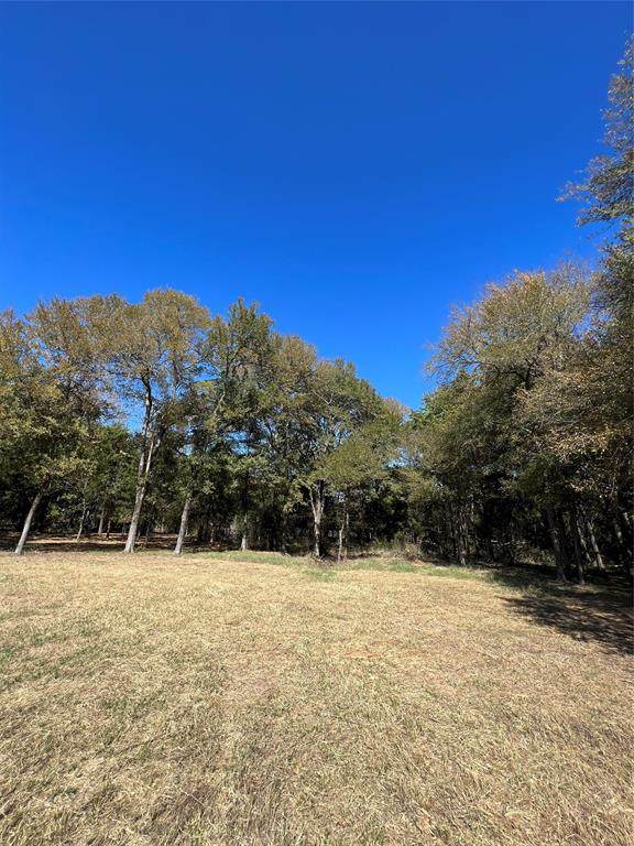 Lot 8 TBD Fm 47 - Photo 1