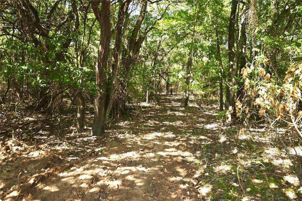 Tract 7 County Rd 4461 - Photo 1