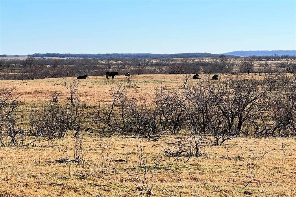 TBD1 Brookmole Rd. - Photo 1