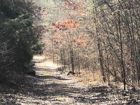 TBD County Road 3460 - Photo 1