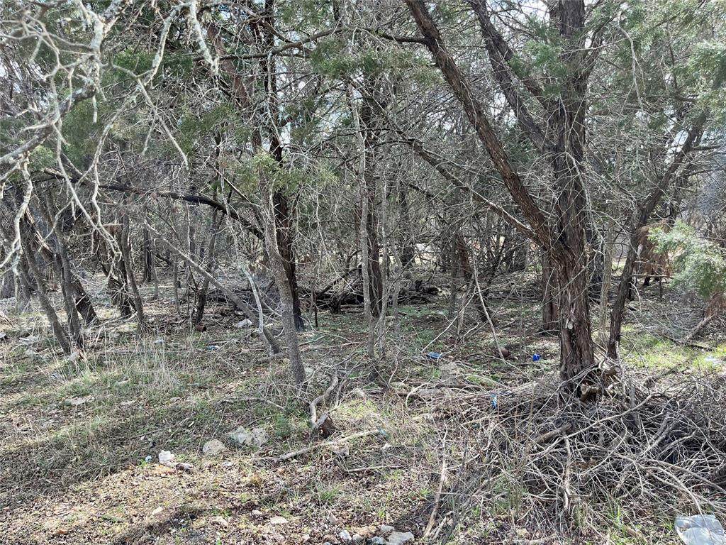 TBD County Rd 1525 - Photo 1