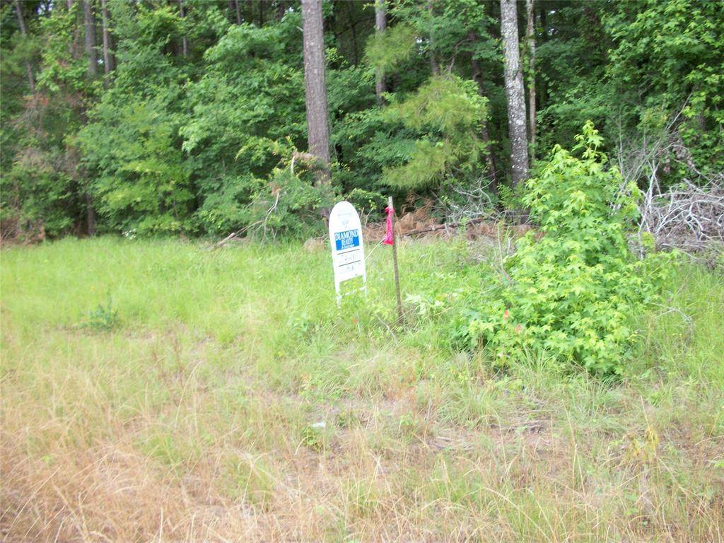 141 White Road - Photo 1