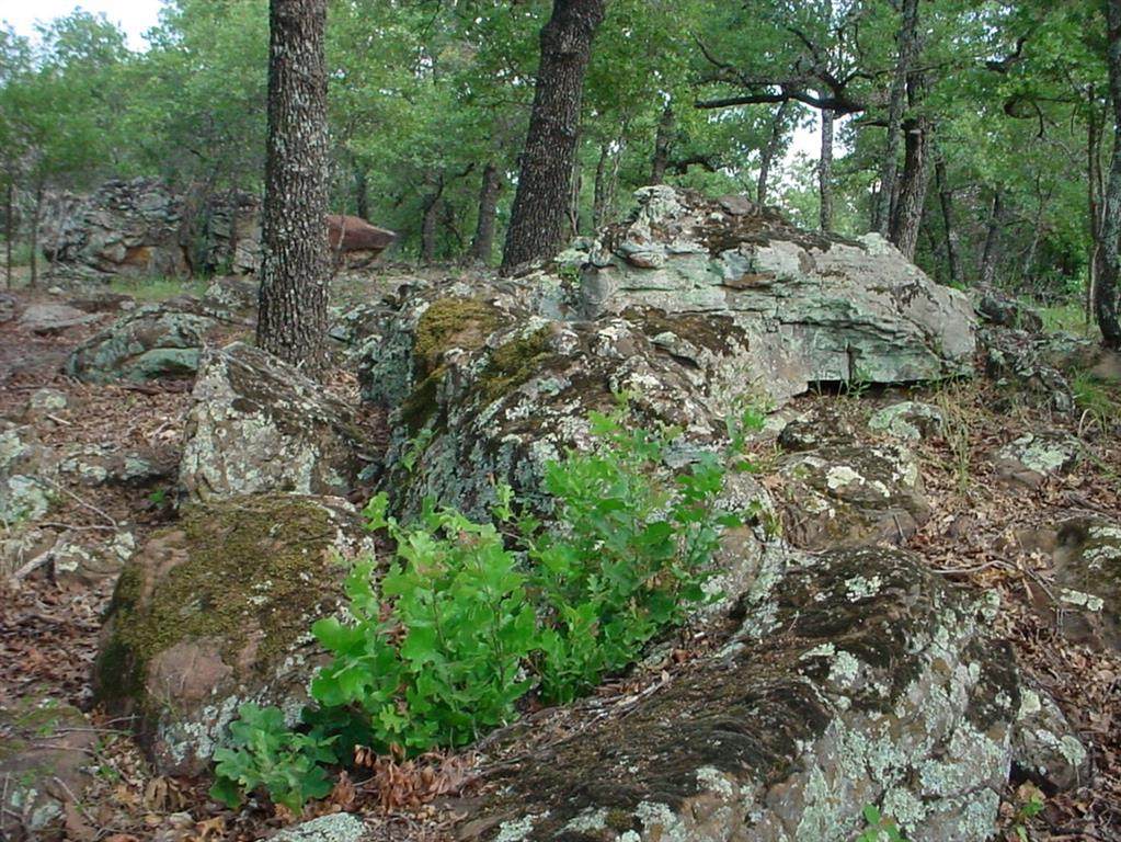 https://bt-photos.global.ssl.fastly.net/ntreis/orig_boomver_1_20247678-2.jpg