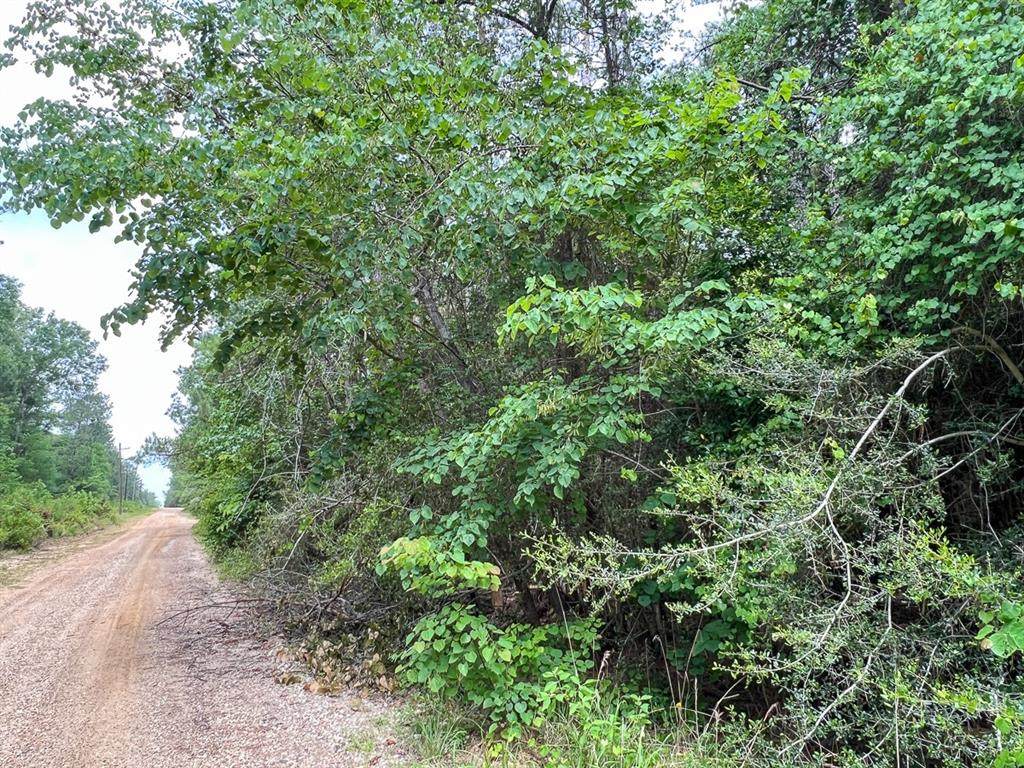 https://bt-photos.global.ssl.fastly.net/ntreis/orig_boomver_1_20331453-2.jpg
