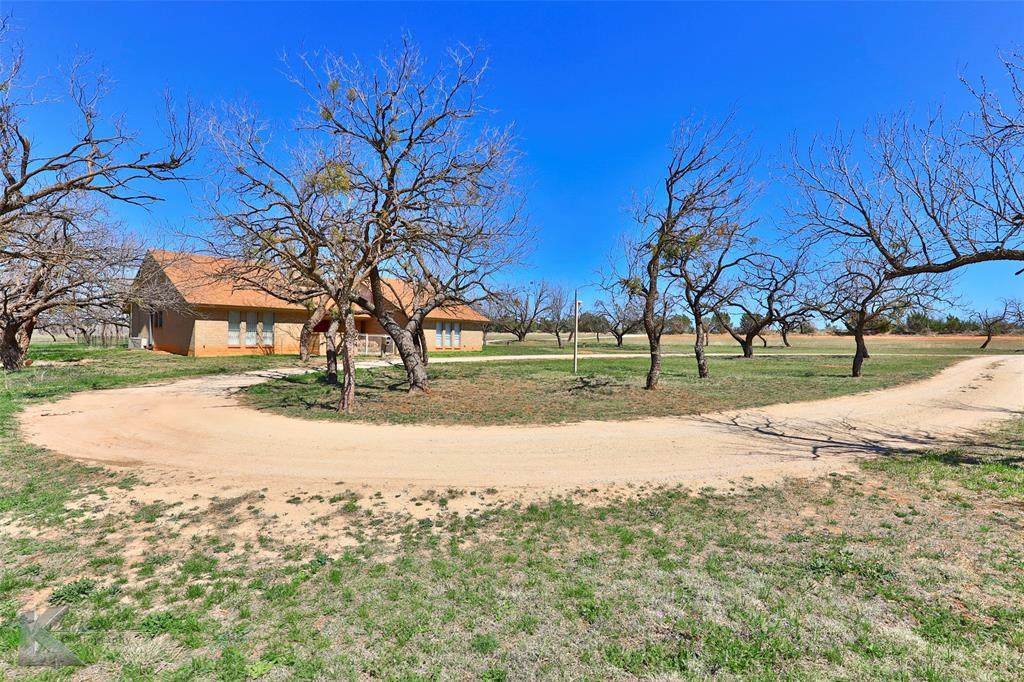 7982 Old Forrest Hill Road Road - Photo 1