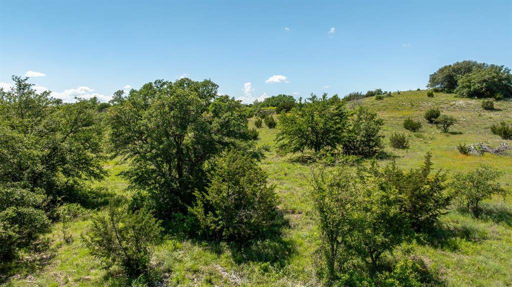 1510 Hidden Oaks Trail - Photo 1