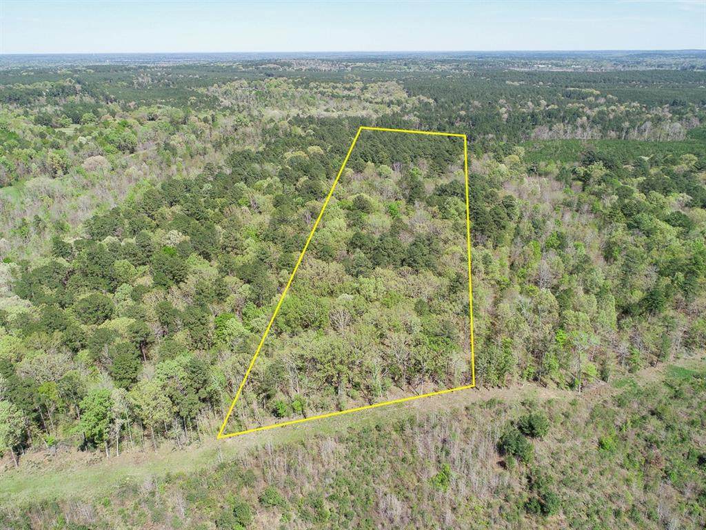 0 County Road 182 - Photo 1