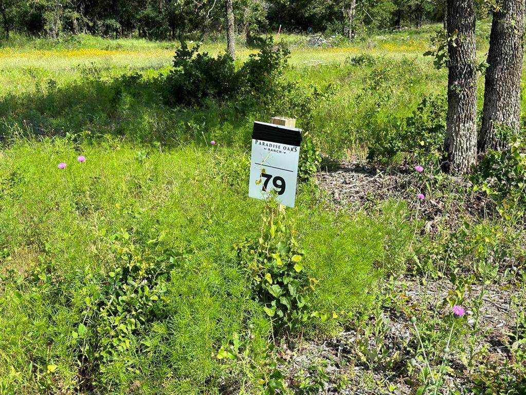 Lot 79 Paradise Oaks - Photo 1