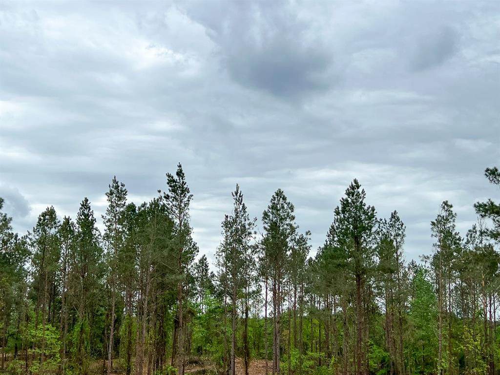 https://bt-photos.global.ssl.fastly.net/ntreis/orig_boomver_1_20618992-2.jpg