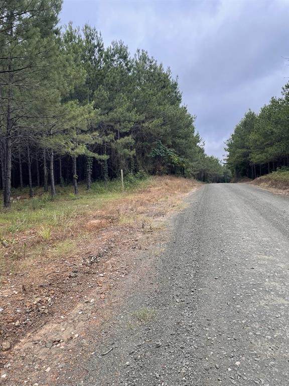 TBD County Road 1090 - Photo 1