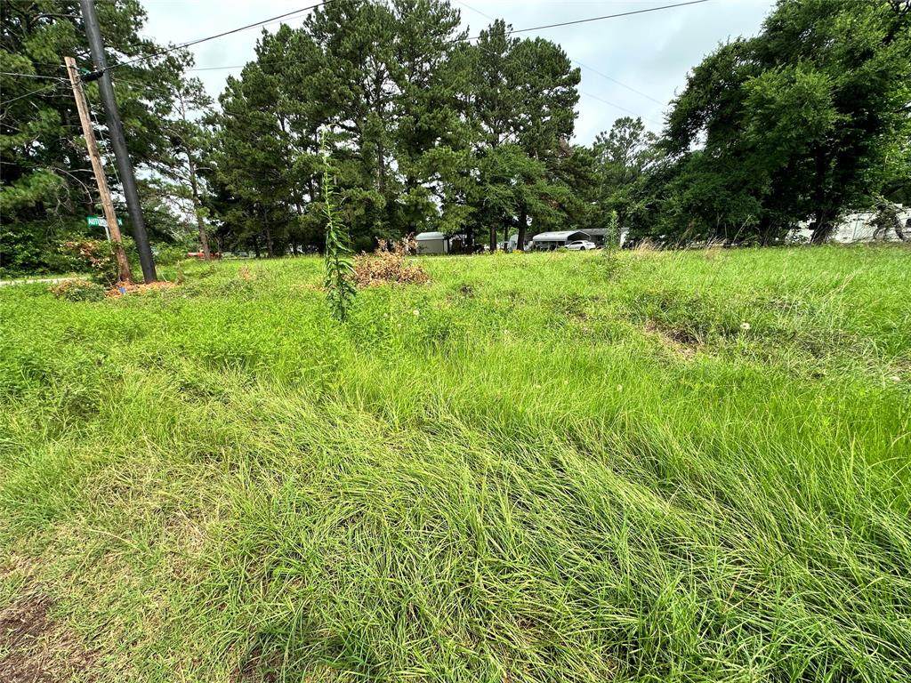 Lot 29 Ashley Avenue - Photo 1