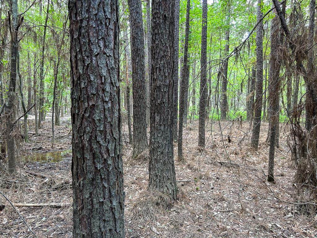 0 County Line Road - Photo 1