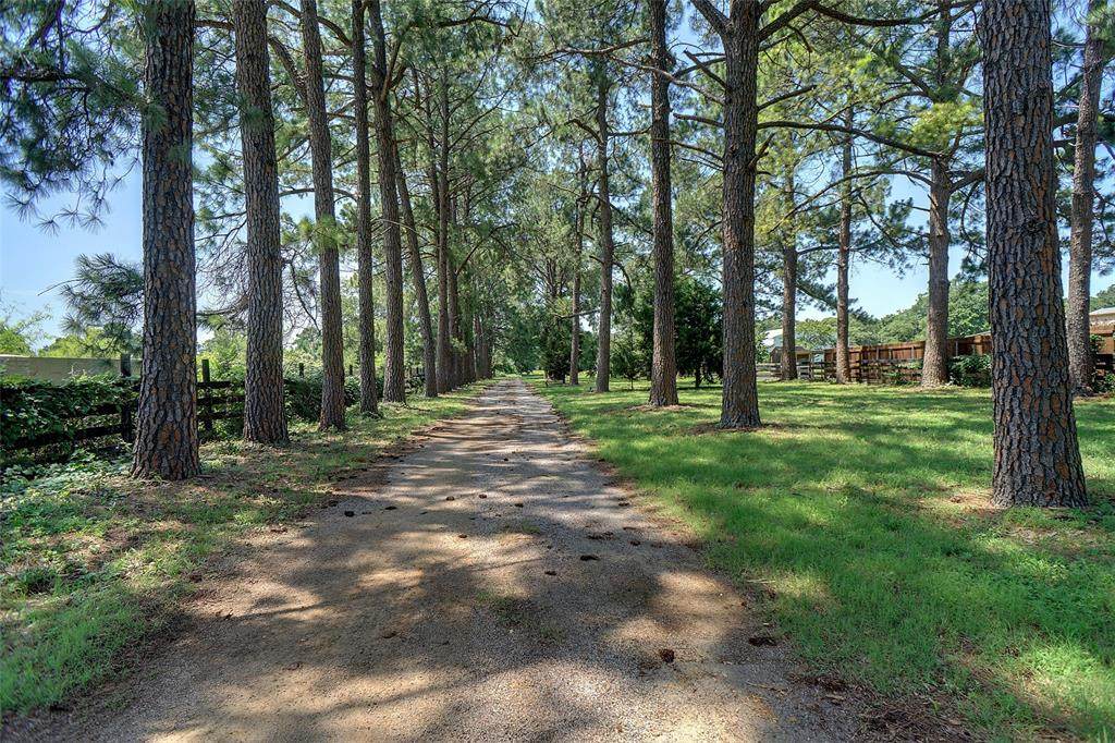 2829 Sagebrush Drive - Photo 1
