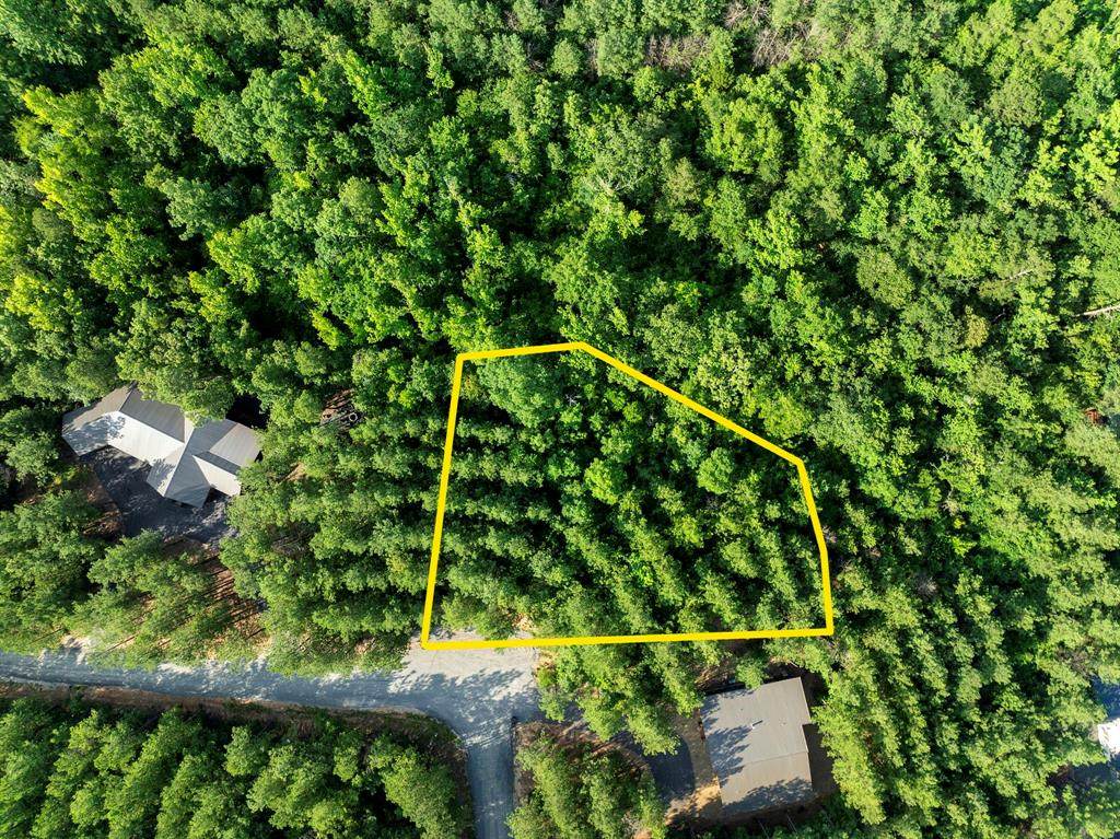 66 Aged Acacia Trail - Photo 1
