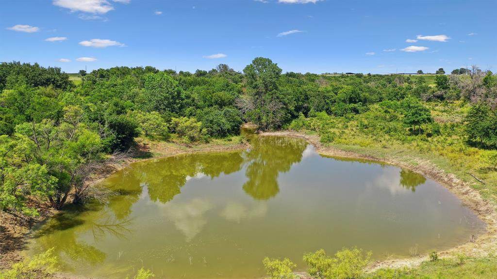 TBD County Road 406 - Photo 1