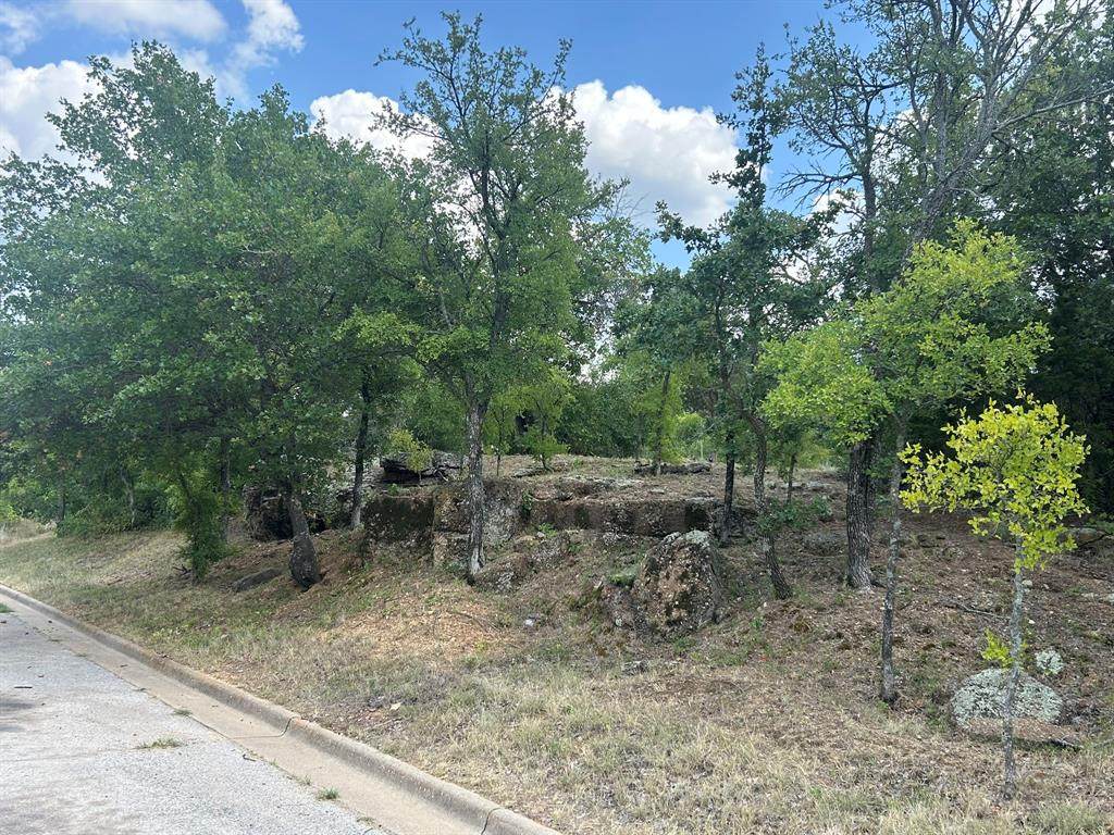 1406 Willow Wood Court - Photo 1