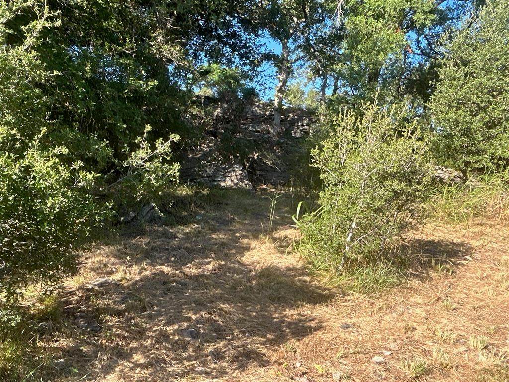 TBD Cr 554, Brownwoo County Road 554 - Photo 1