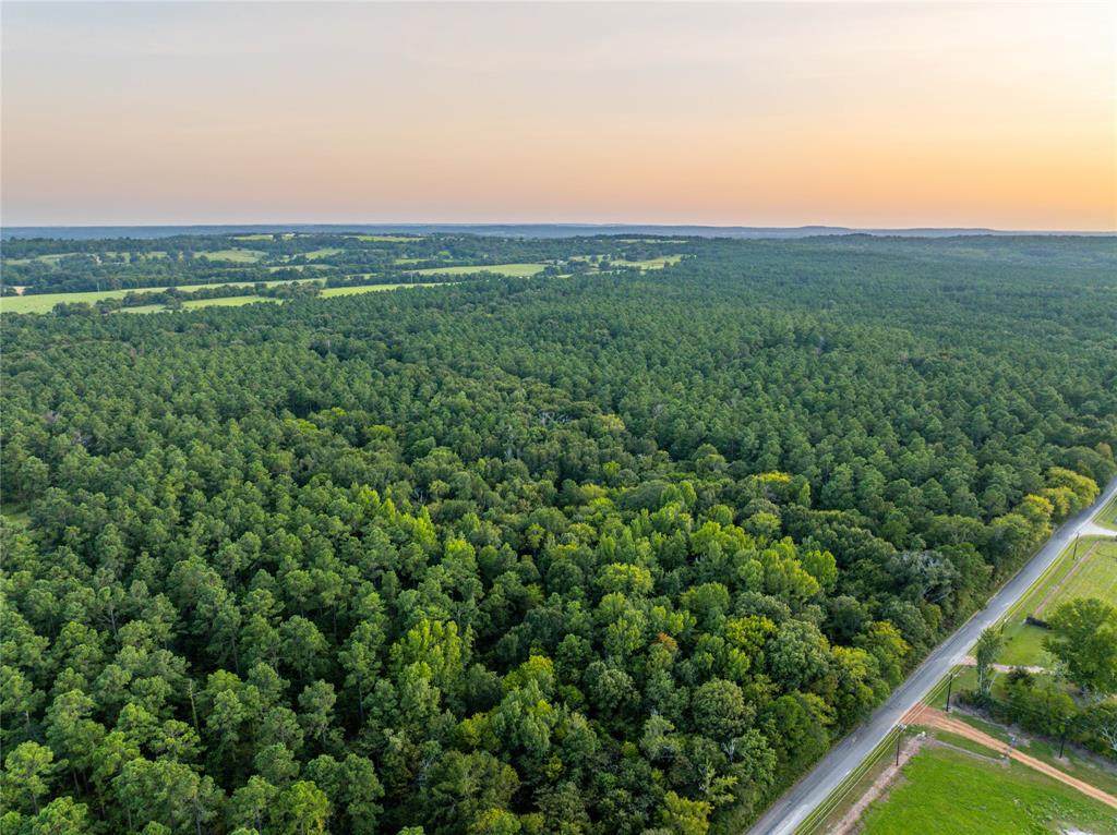 Tract 10 County Road 4222 - Photo 1