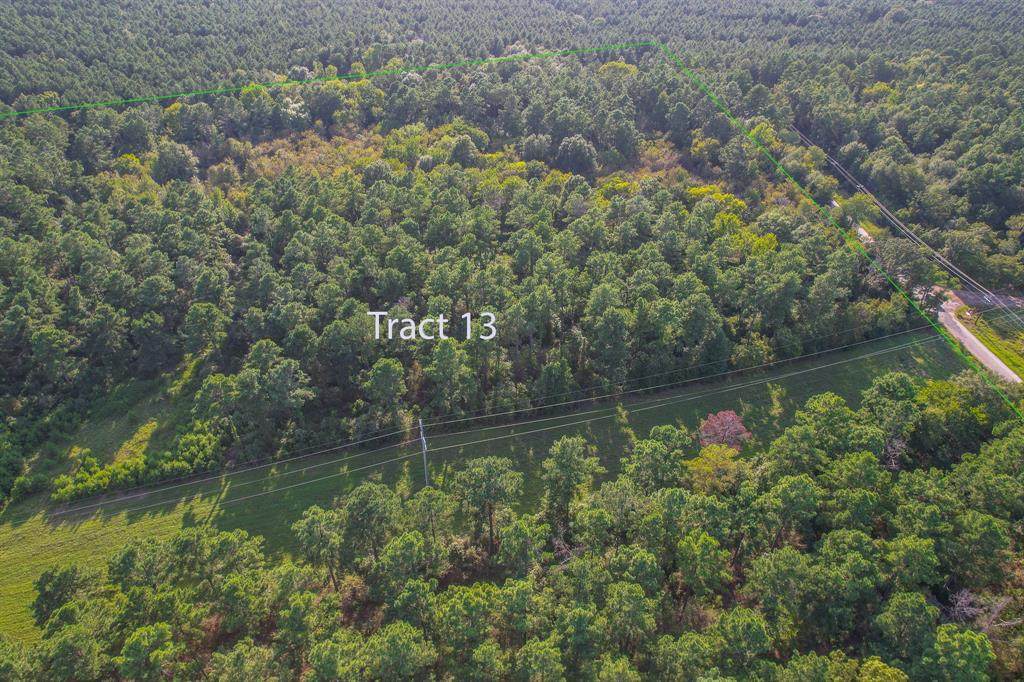 Tract 13 County Road 4224 - Photo 1
