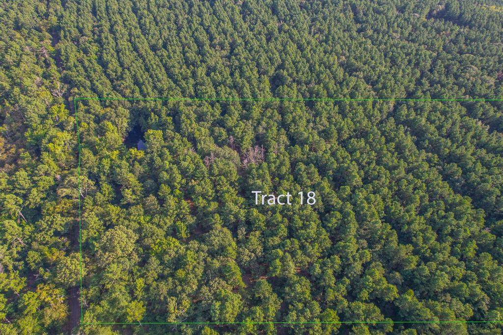 Tract 18 County Road 4224 - Photo 1