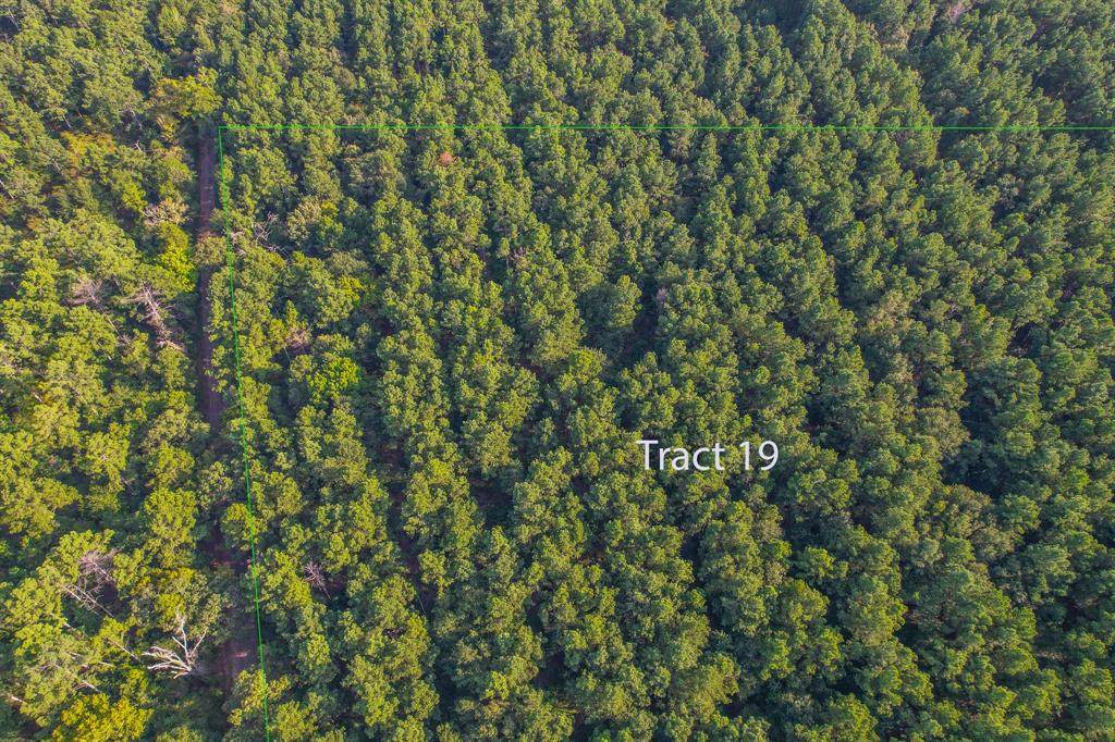 Tract 19 County Road 4224 - Photo 1