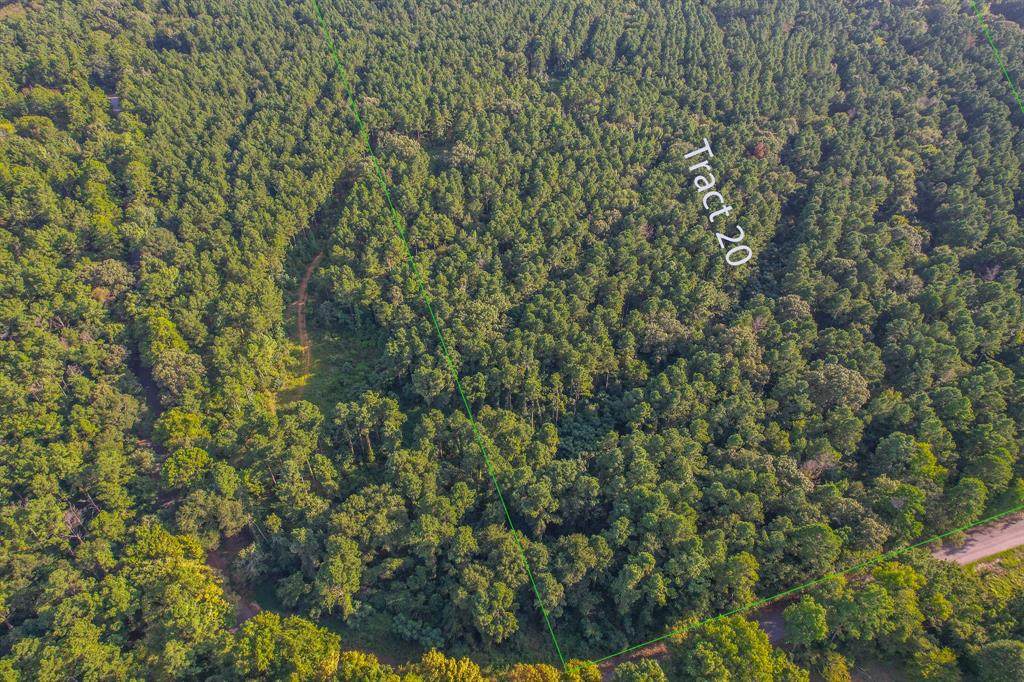 Tract 20 County Road 4224 - Photo 1