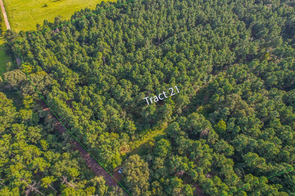 Tract 21 County Road 4224 - Photo 1