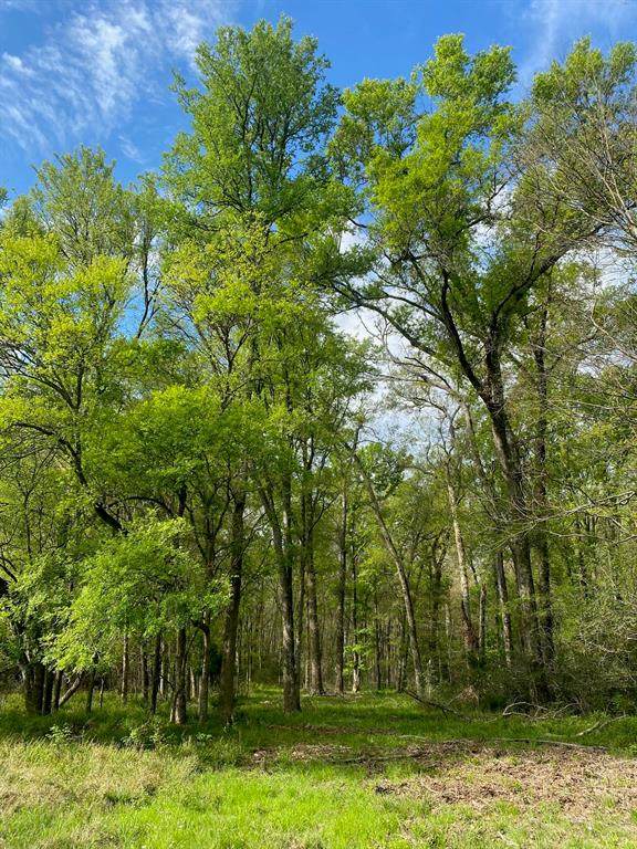 TBD 15 Fm 1848 - Photo 1