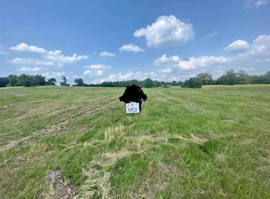 Lot #5 Private Road - Photo 1