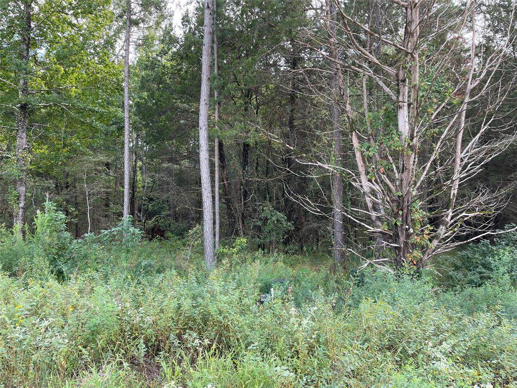 Lot 27 TBD Cedarpark Place - Photo 1