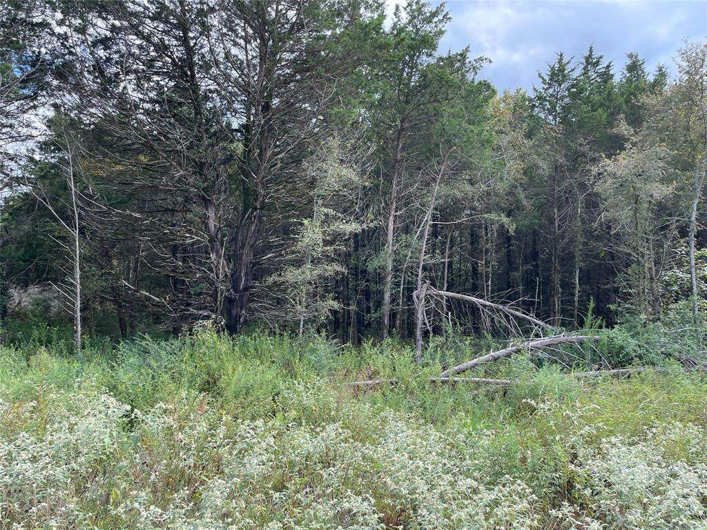 19421 Cedarpark Place - Photo 1