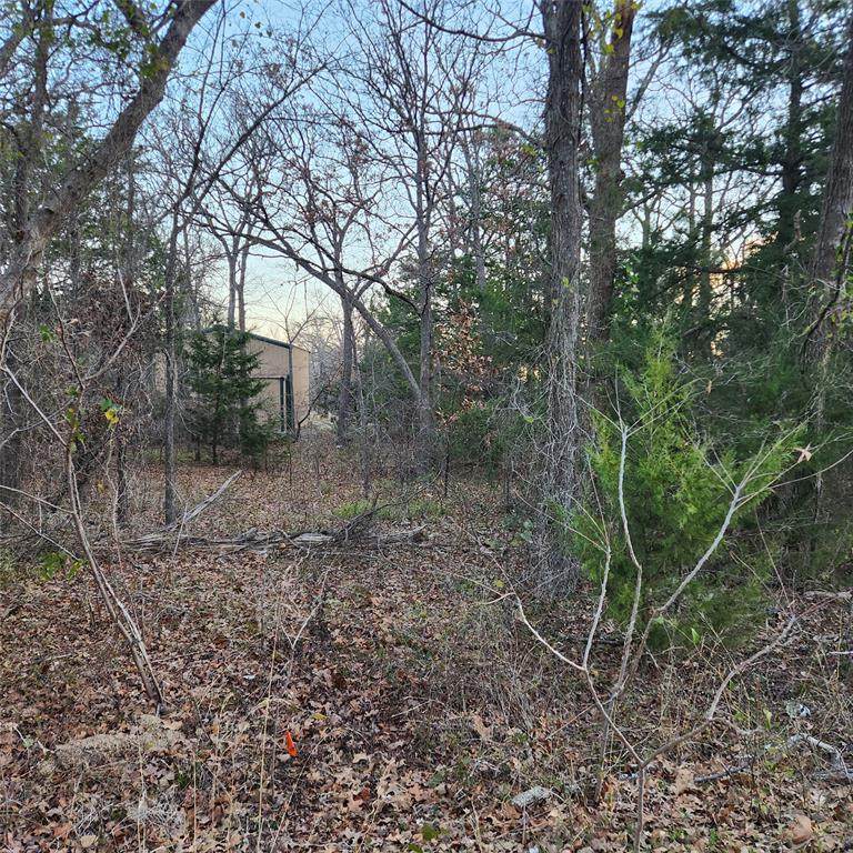 904 Hillburn Drive - Photo 1