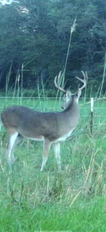 TBD 12 Fm 1848 - Photo 1