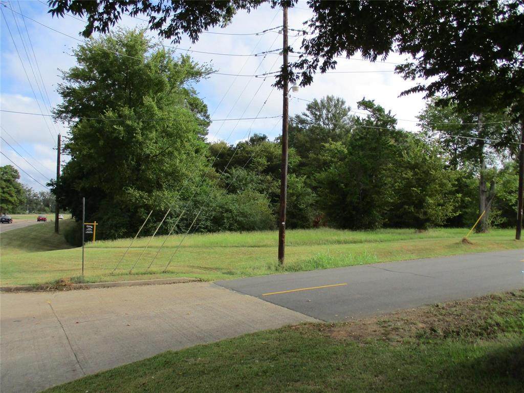 102 Old Bellevue Road - Photo 1