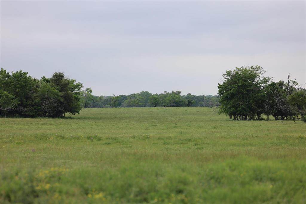 308 Fcr 995 - Photo 1