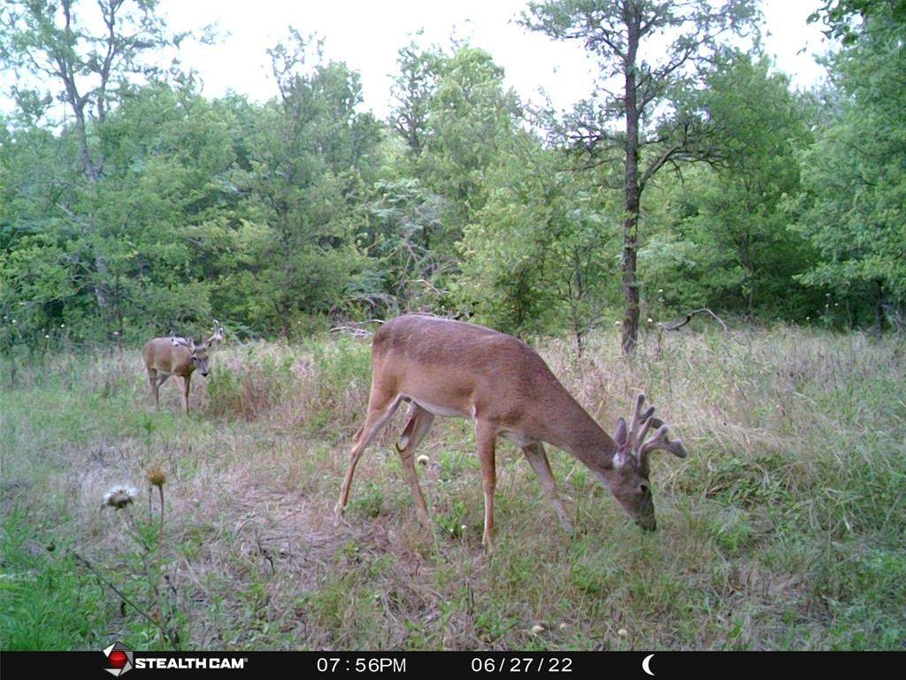 141 County Road 2349 - Photo 1