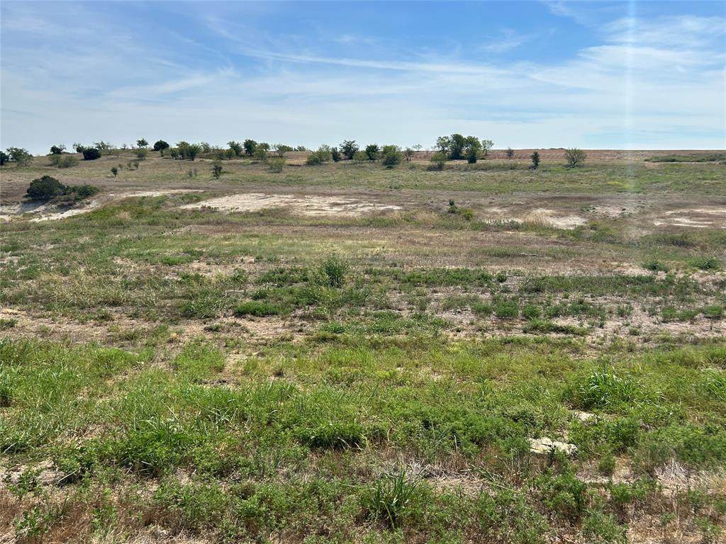 1025 Bear Creek Ranch Road - Photo 1