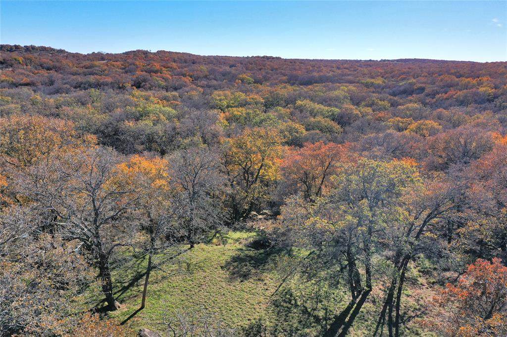 TBD 281 Highway - Photo 1